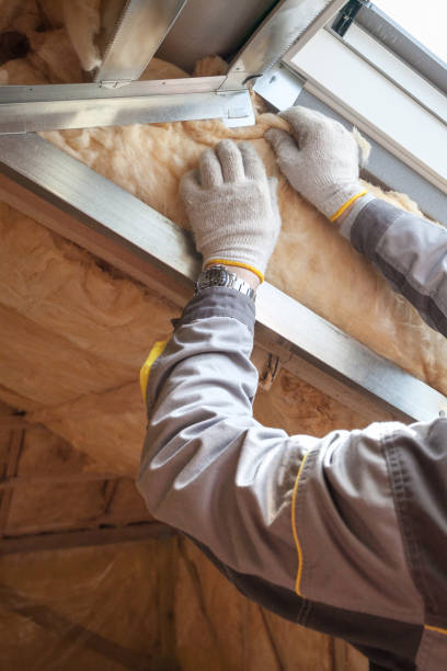 Best Wall Insulation Contractor  in Austintown, OH
