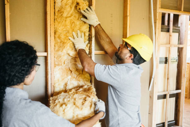 Best Attic Insulation Installation  in Austintown, OH