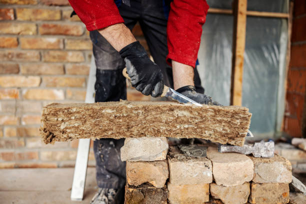Best Best Insulation Companies  in Austintown, OH