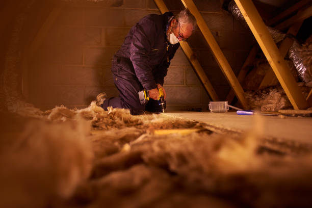 Best Local Insulation Services  in Austintown, OH
